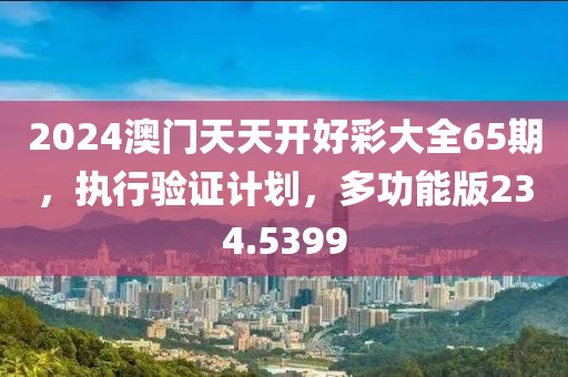 2024澳门天天开好彩大全65期，执行验证计划，多功能版234.5399