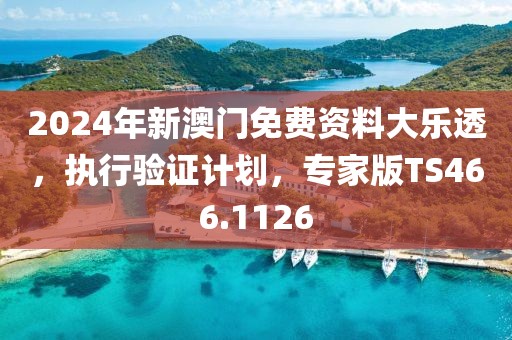 2024年新澳门免费资料大乐透，执行验证计划，专家版TS466.1126
