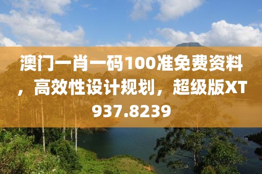 澳门一肖一码100准免费资料，高效性设计规划，超级版XT937.8239
