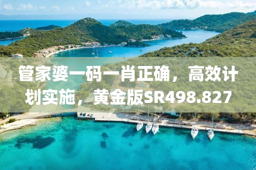 管家婆一码一肖正确，高效计划实施，黄金版SR498.827