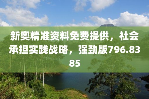 新奥精准资料免费提供，社会承担实践战略，强劲版796.8385