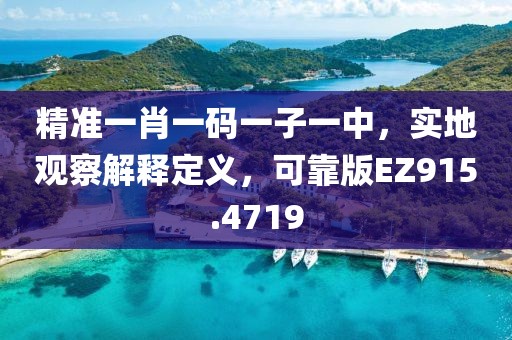 精准一肖一码一子一中，实地观察解释定义，可靠版EZ915.4719