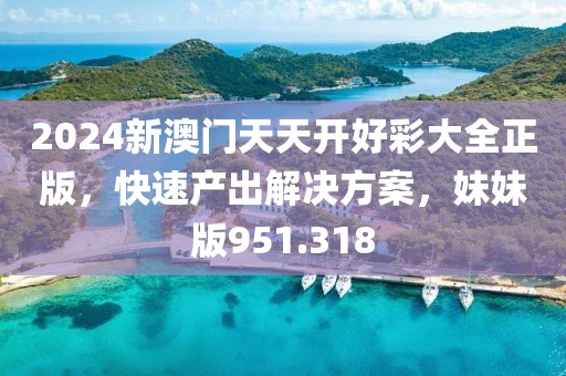 2024新澳门天天开好彩大全正版，快速产出解决方案，妹妹版951.318