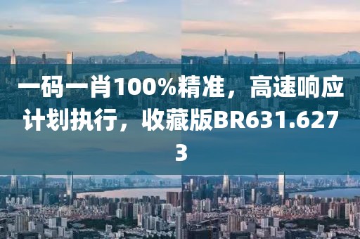 一码一肖100%精准，高速响应计划执行，收藏版BR631.6273