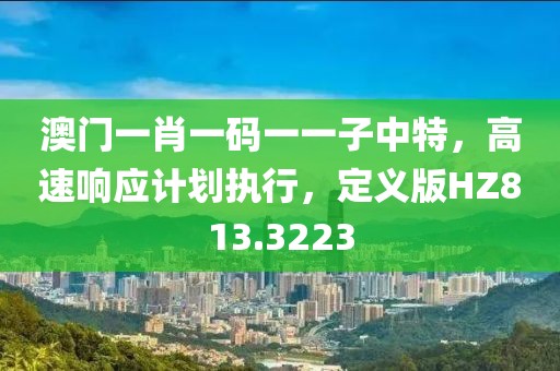 澳门一肖一码一一子中特，高速响应计划执行，定义版HZ813.3223