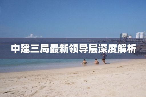 中建三局最新领导层深度解析