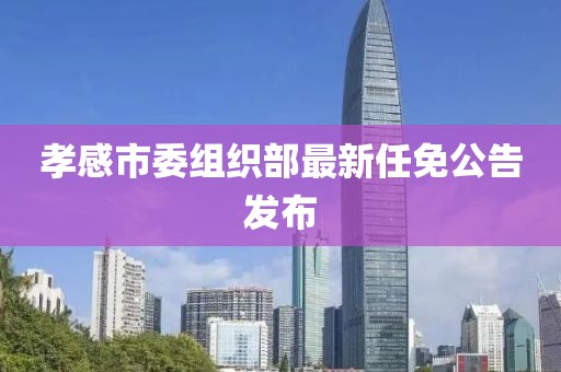 孝感市委组织部最新任免公告发布