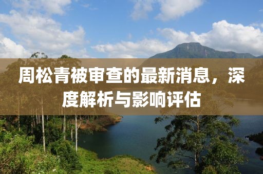 周松青被审查的最新消息，深度解析与影响评估