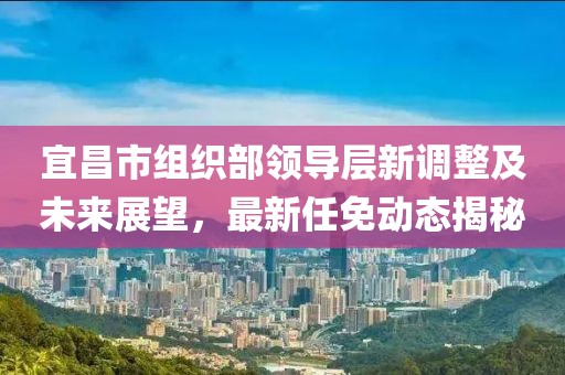 宜昌市组织部领导层新调整及未来展望，最新任免动态揭秘