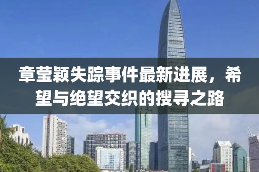 章莹颖失踪事件最新进展，希望与绝望交织的搜寻之路