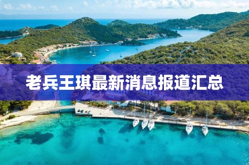 老兵王琪最新消息报道汇总