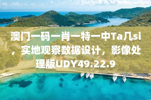 澳门一码一肖一特一中Ta几si，实地观察数据设计，影像处理版UDY49.22.9