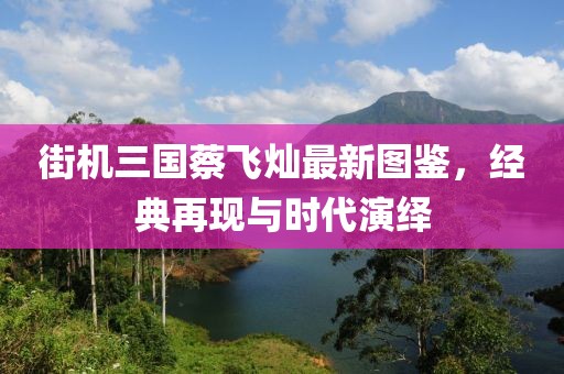 街机三国蔡飞灿最新图鉴，经典再现与时代演绎