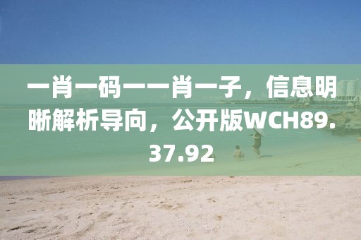 一肖一码一一肖一子，信息明晰解析导向，公开版WCH89.37.92