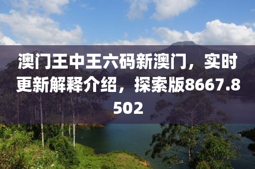 澳门王中王六码新澳门，实时更新解释介绍，探索版8667.8502
