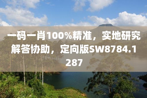 一码一肖100%精准，实地研究解答协助，定向版SW8784.1287