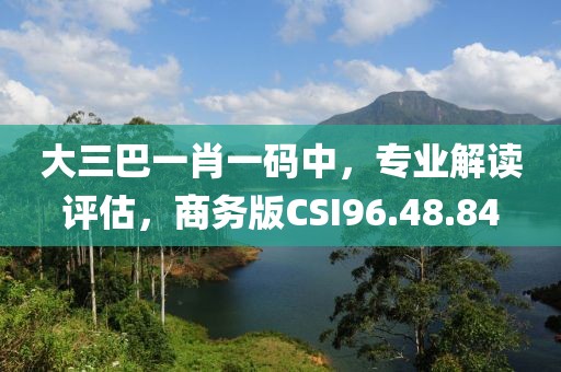 大三巴一肖一码中，专业解读评估，商务版CSI96.48.84