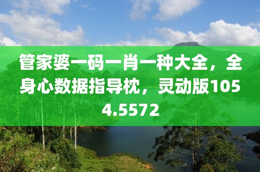 管家婆一码一肖一种大全，全身心数据指导枕，灵动版1054.5572