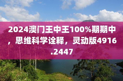 2024澳门王中王100%期期中，思维科学诠释，灵动版4916.2447