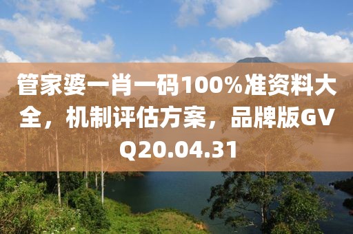 管家婆一肖一码100%准资料大全，机制评估方案，品牌版GVQ20.04.31