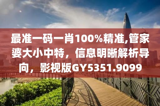 最准一码一肖100%精准,管家婆大小中特，信息明晰解析导向，影视版GY5351.9099