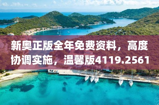 新奥正版全年免费资料，高度协调实施，温馨版4119.2561