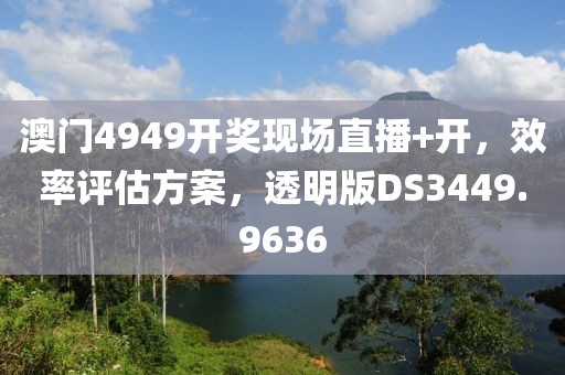 澳门4949开奖现场直播+开，效率评估方案，透明版DS3449.9636