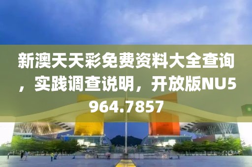 新澳天天彩免费资料大全查询，实践调查说明，开放版NU5964.7857