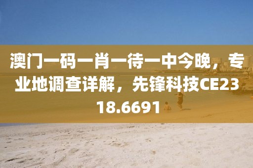 澳门一码一肖一待一中今晚，专业地调查详解，先锋科技CE2318.6691