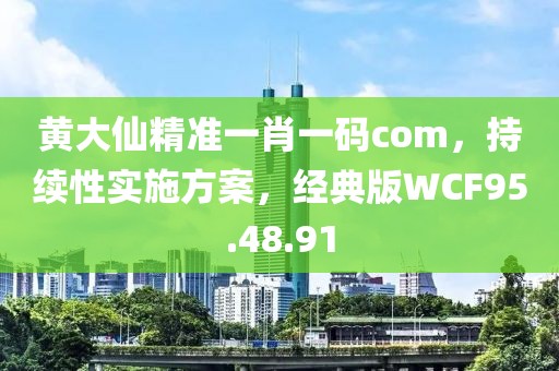 黄大仙精准一肖一码com，持续性实施方案，经典版WCF95.48.91