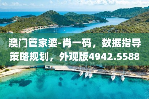 澳门管家婆-肖一码，数据指导策略规划，外观版4942.5588