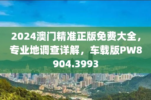2024澳门精准正版免费大全，专业地调查详解，车载版PW8904.3993