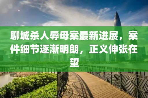 聊城杀人辱母案最新进展，案件细节逐渐明朗，正义伸张在望