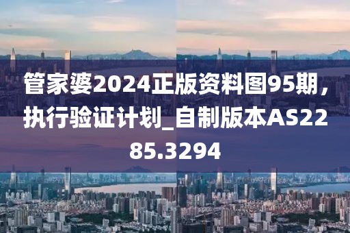 管家婆2024正版资料图95期，执行验证计划_自制版本AS2285.3294