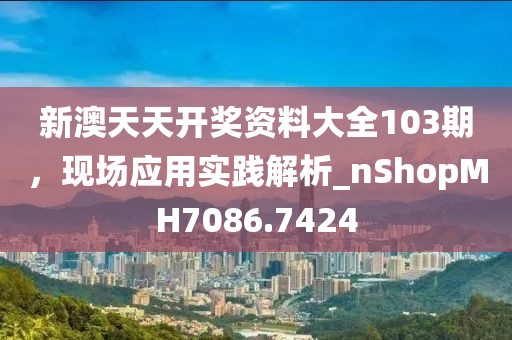 新澳天天开奖资料大全103期，现场应用实践解析_nShopMH7086.7424