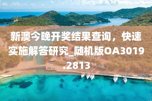 新澳今晚开奖结果查询，快速实施解答研究_随机版OA3019.2813