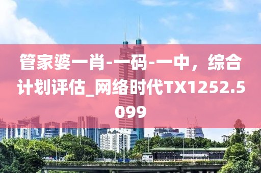 管家婆一肖-一码-一中，综合计划评估_网络时代TX1252.5099