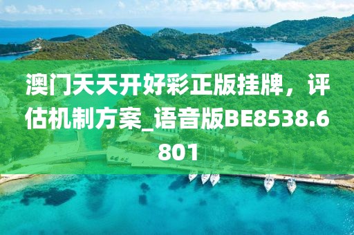 澳门天天开好彩正版挂牌，评估机制方案_语音版BE8538.6801