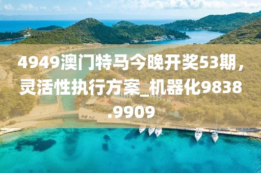4949澳门特马今晚开奖53期，灵活性执行方案_机器化9838.9909