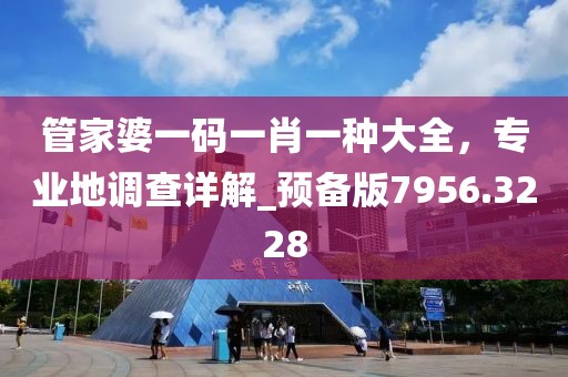 管家婆一码一肖一种大全，专业地调查详解_预备版7956.3228