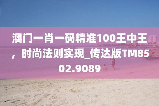 澳门一肖一码精准100王中王，时尚法则实现_传达版TM8502.9089
