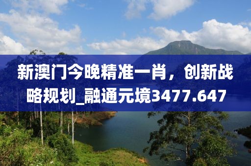 新澳门今晚精准一肖，创新战略规划_融通元境3477.647