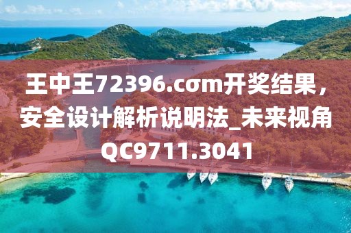 王中王72396.cσm开奖结果，安全设计解析说明法_未来视角QC9711.3041
