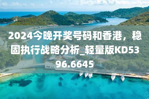 2024今晚开奖号码和香港，稳固执行战略分析_轻量版KD5396.6645