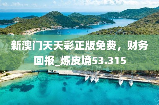 新澳门天天彩正版免费，财务回报_炼皮境53.315