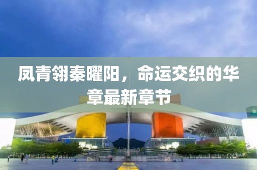 凤青翎秦曜阳，命运交织的华章最新章节