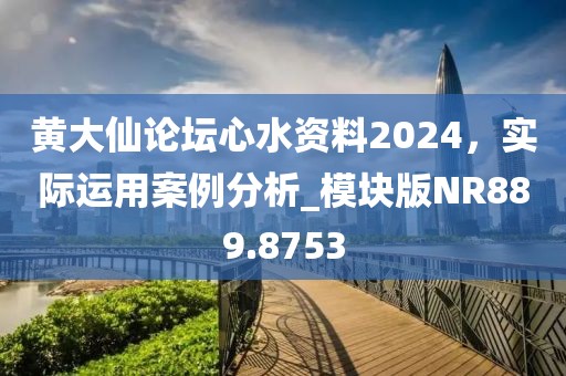 黄大仙论坛心水资料2024，实际运用案例分析_模块版NR889.8753