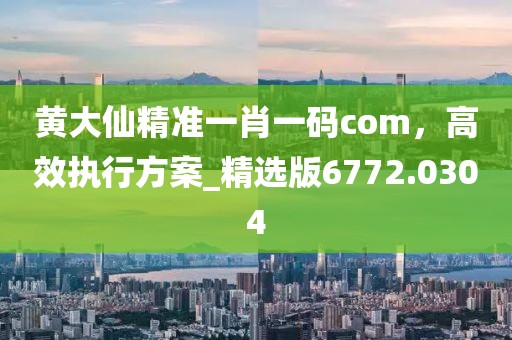 黄大仙精准一肖一码com，高效执行方案_精选版6772.0304