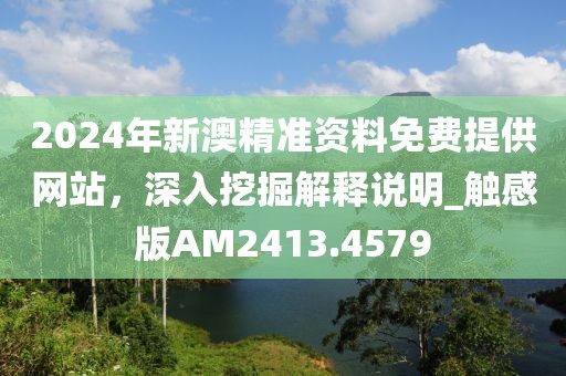 2024年新澳精准资料免费提供网站，深入挖掘解释说明_触感版AM2413.4579