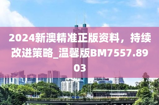 2024新澳精准正版资料，持续改进策略_温馨版BM7557.8903